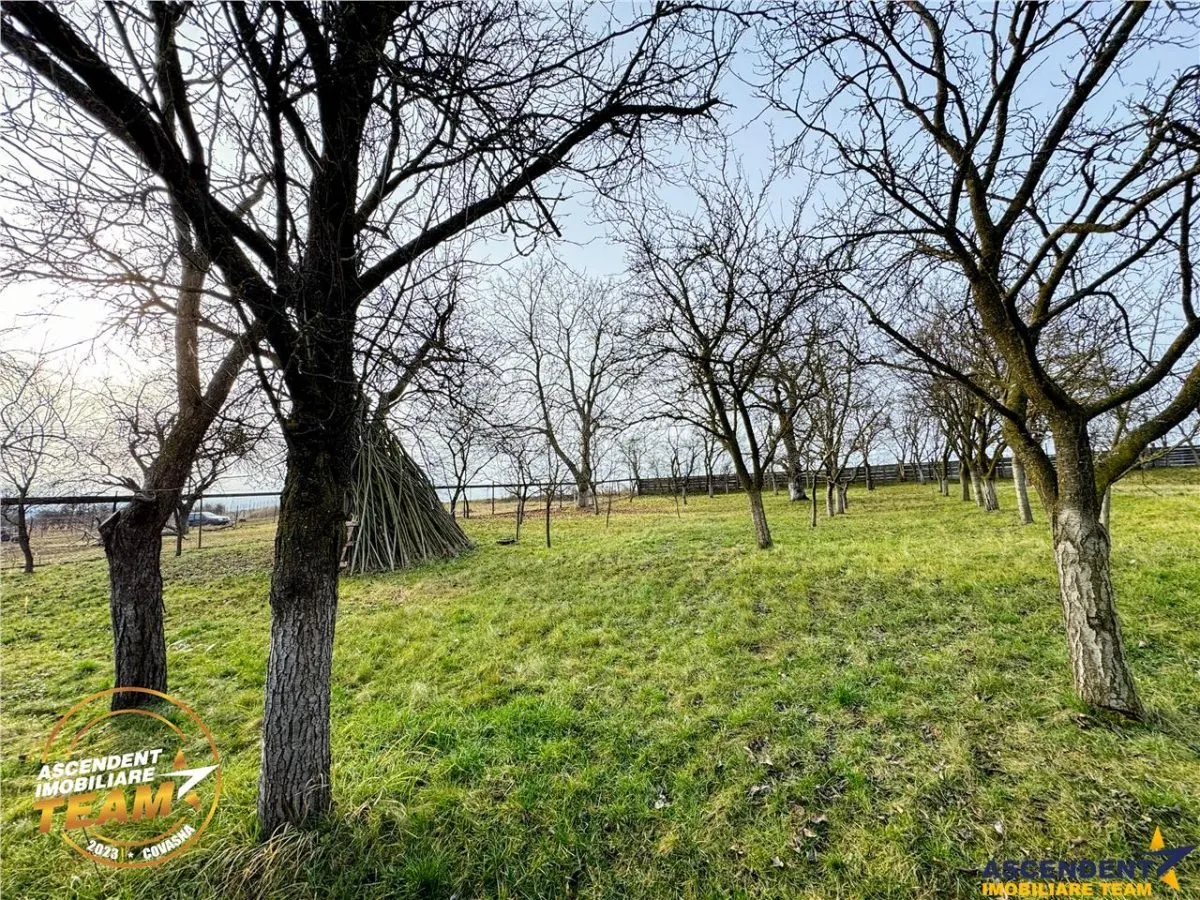 FILM! 5.000mp teren intravilan cu casuta rustica, Dalnic, Covasna - foto 3