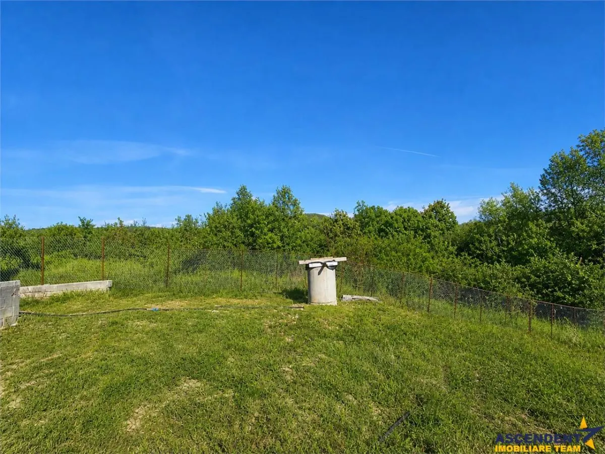 Constructie noua,elegant finisata si echipata,parc privat:1.500 mp, Persani, Brasov - foto 13