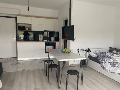 Apartament 1 camera Tatarasi - foto 7