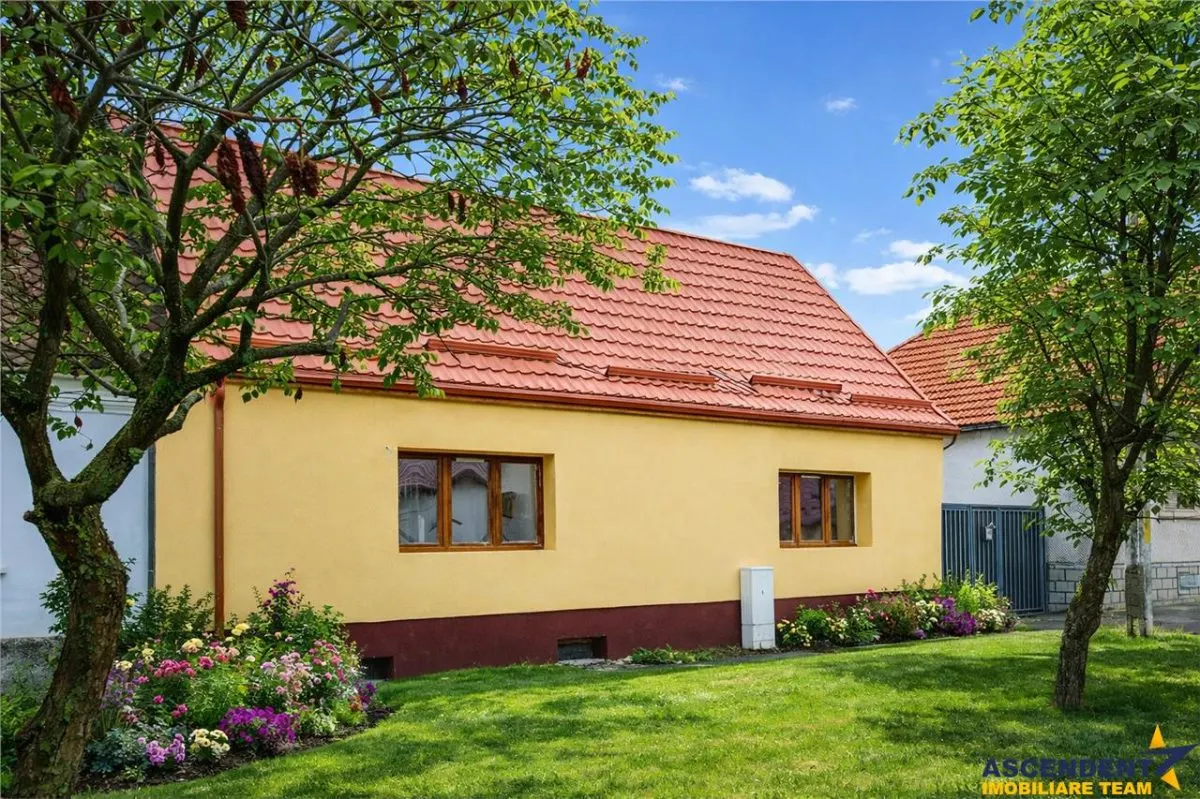 Cocheta casa renovata+vila spatioasa, domeniu de 1.500mp,Sanpetru,Brasov - foto 1