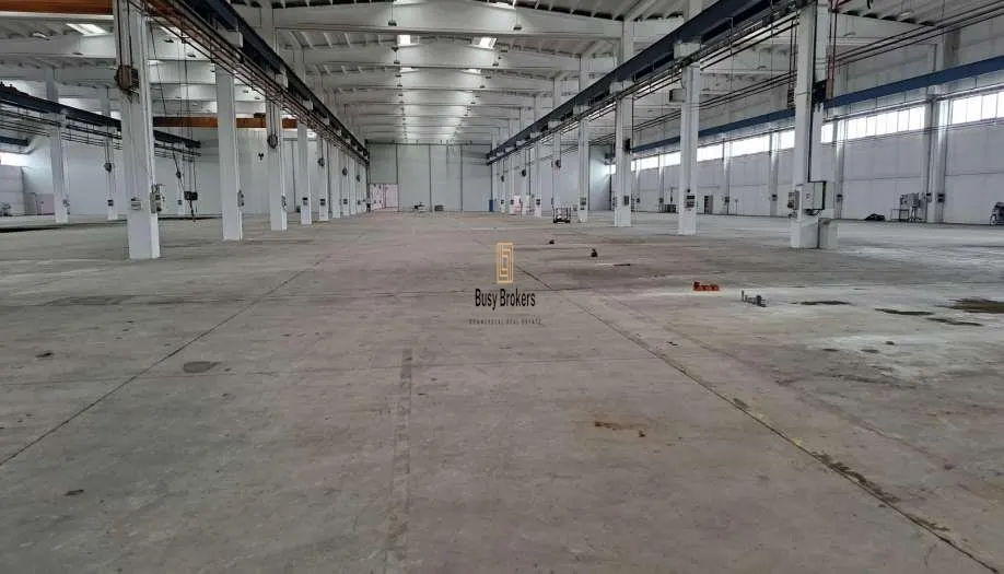 Spatiu Industrial - 19500 mp - Productie - Depozitare - Distributie - foto 9