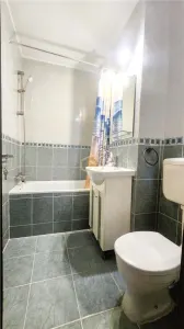 VIDEO | Mutare imediata | Apartament cu 2 camere, la parter | Carpati I - foto 11