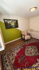 Farmecul unei case sasesti,1.500mp domeniu propriu,fantana,Persani,Brasov - foto 4
