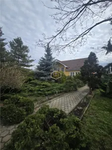 Proprietate rara | Casa cu 4 camere si teren 1.460 mp | Lucian Blaga - Satu Mare