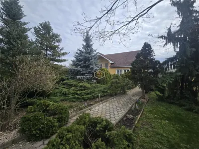 Proprietate rara | Casa cu 4 camere si teren 1.460 mp | Lucian Blaga - foto 20