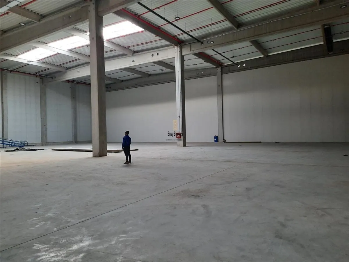 Spatiu Industrial - 1500 mp - Productie - Depozitare - Distributie - foto 2