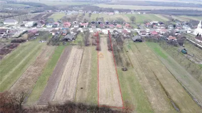 Casa cu 3 camere, renovata integral | Teren 5.000 mp | Borlesti - foto 6