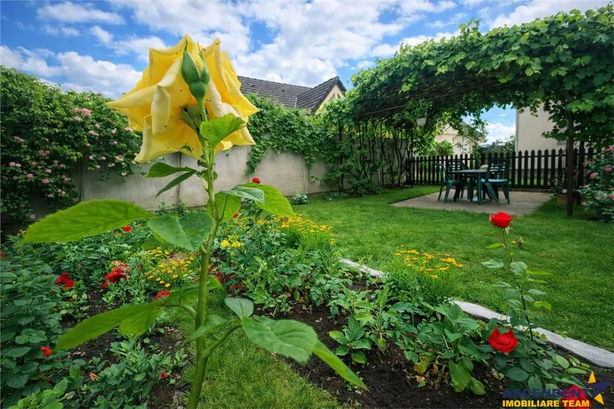 Poveste saseasca la umbra vitei de vie,cu crama,gradina flori,Central,Codlea - foto 1