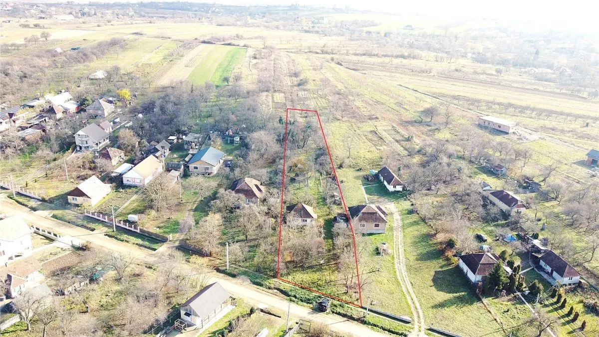 Casa cu 2 camere si teren de 4.000 mp | Viile Satu Mare - foto 1