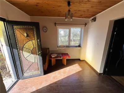 Casa cu 2 camere si teren de 4.000 mp | Viile Satu Mare - foto 11