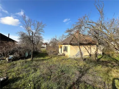 Casa cu 2 camere si teren de 4.000 mp | Viile Satu Mare - foto 5