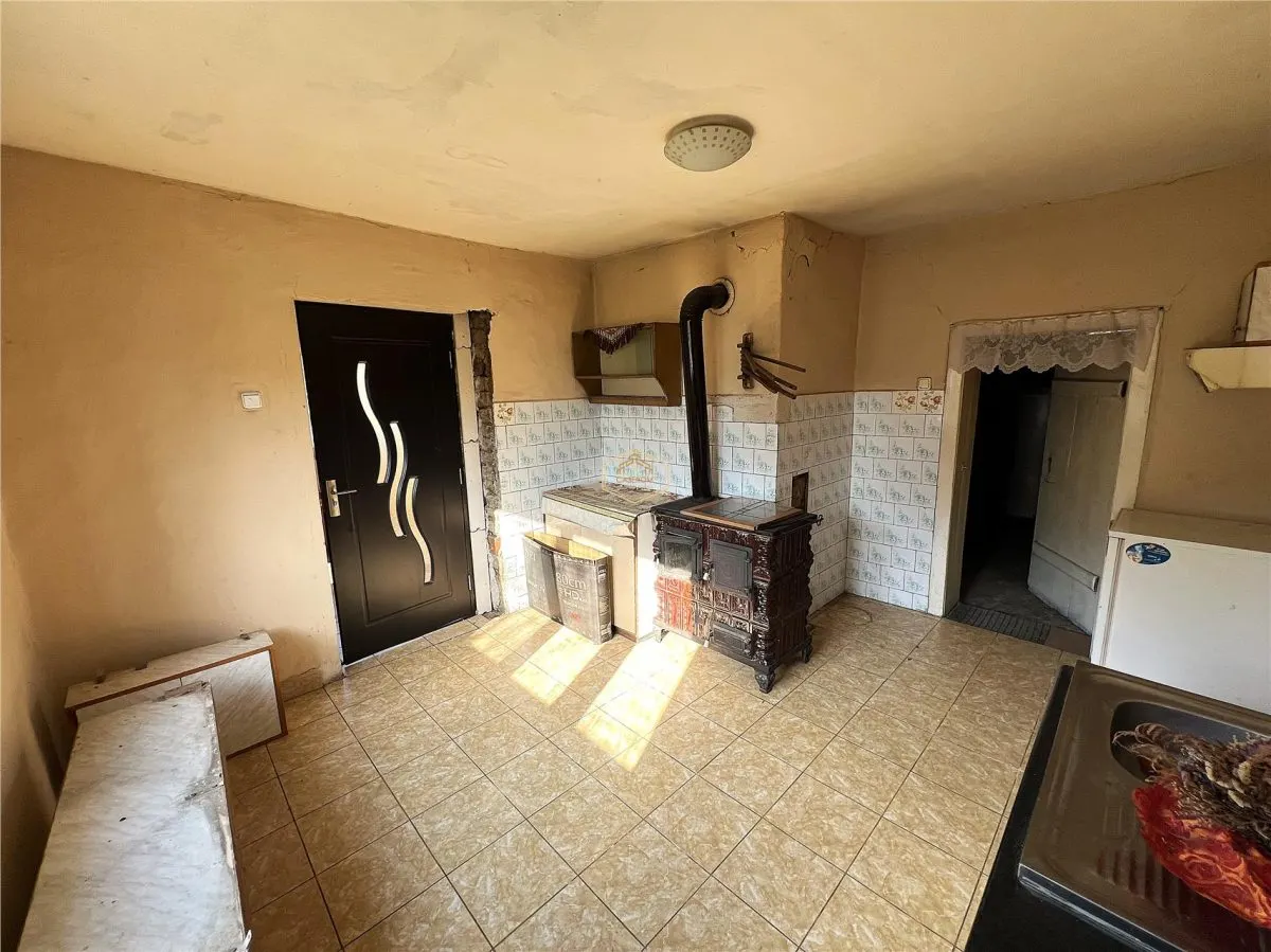 Casa cu 2 camere si teren de 4.000 mp | Viile Satu Mare - foto 8