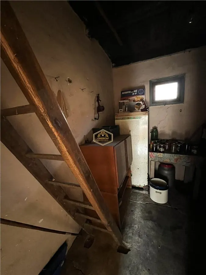 Casa cu 2 camere si teren de 4.000 mp | Viile Satu Mare - foto 9