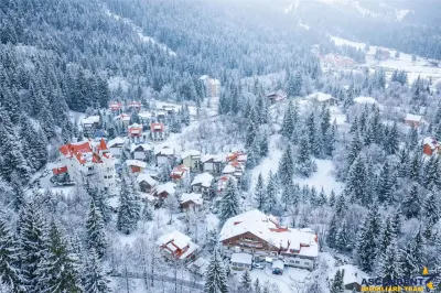 Descopera oportunitatea! Imobiliar&Transfer Business in inima statiunii Poiana Brasov, Romania - foto 11