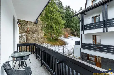 Descopera oportunitatea! Imobiliar&Transfer Business in inima statiunii Poiana Brasov, Romania - foto 18