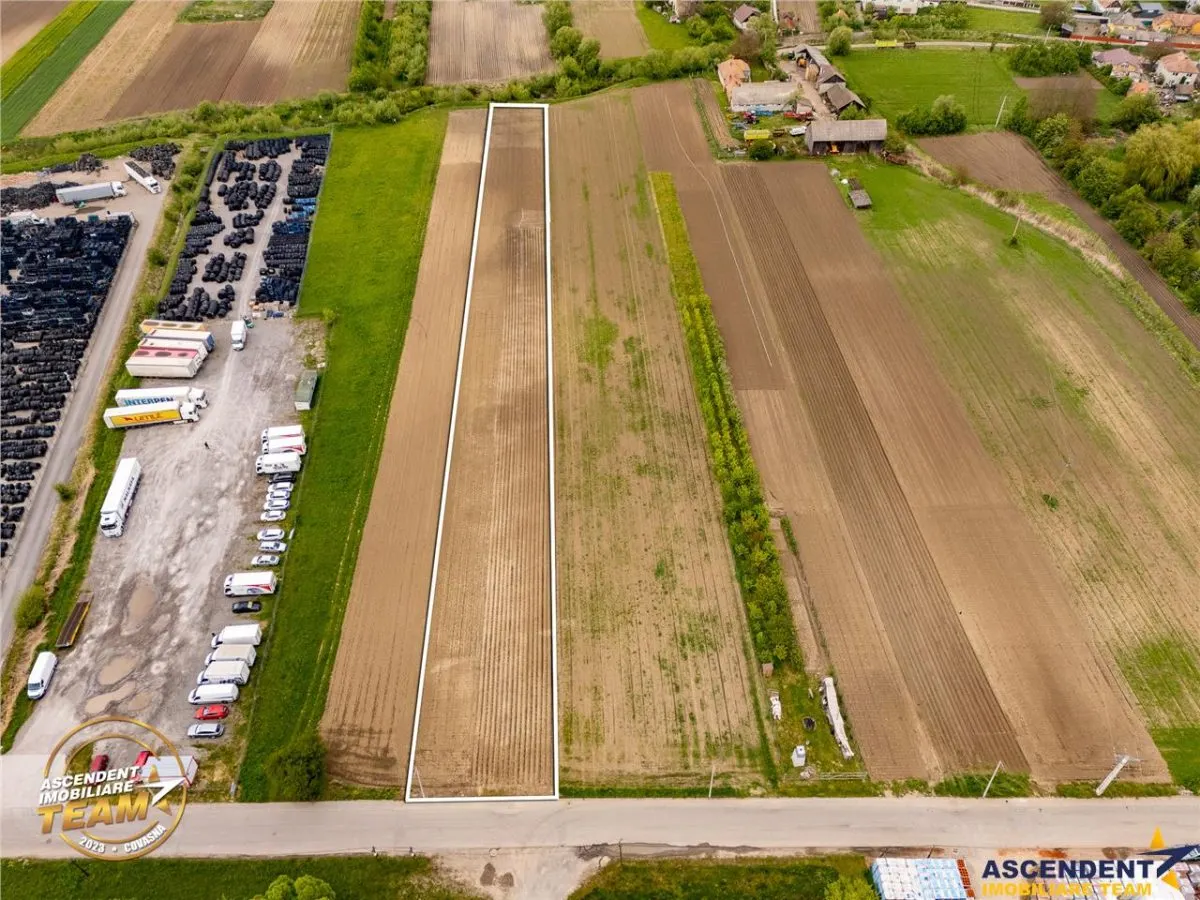 FILM! 5.000 mp teren, la marginea orasului Targu Secuiesc, aria industriala - foto 2