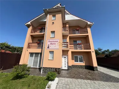 Pensiunea Maria | Inima unei afaceri de suflet in Tara Oasului - foto 2