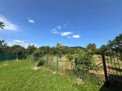 Pensiunea Maria | Inima unei afaceri de suflet in Tara Oasului - foto 24
