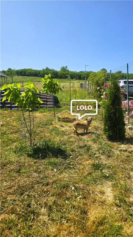 VIDEO | ?? Loc pentru casa, cabana sau cazare turistica in Ardud | Vedere de vis spre Satu Mare si padure - foto 18