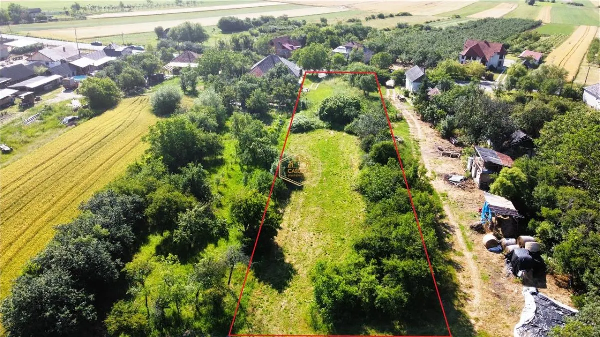 Teren intravilan - 2.488 mp in Viile Satu Mare - foto 4