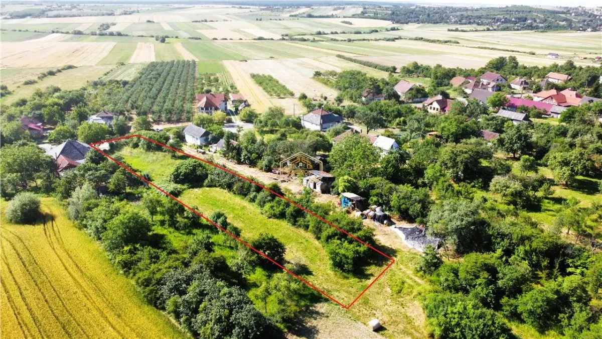 Teren intravilan - 2.488 mp in Viile Satu Mare - foto 5