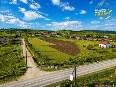 Proprietate remarcabila: 32.000mp teren, acces direct DJ112,Ilieni,Covasna - foto 7