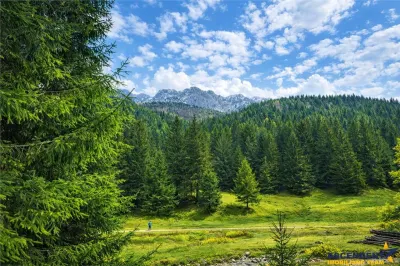Teren intravilan panoramic 4.600mp,view iconic Piatra Craiului,oportunitate premium - Zarnesti