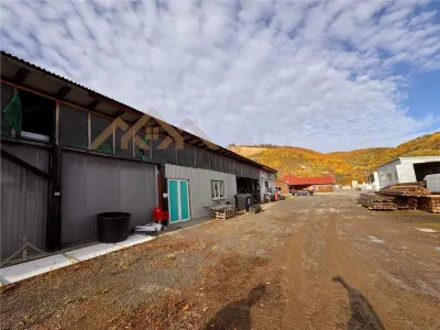 OPORTUNITATE, 11000 mp teren intravilan, cu diverse constructii pe el, Seini la DN - foto 11