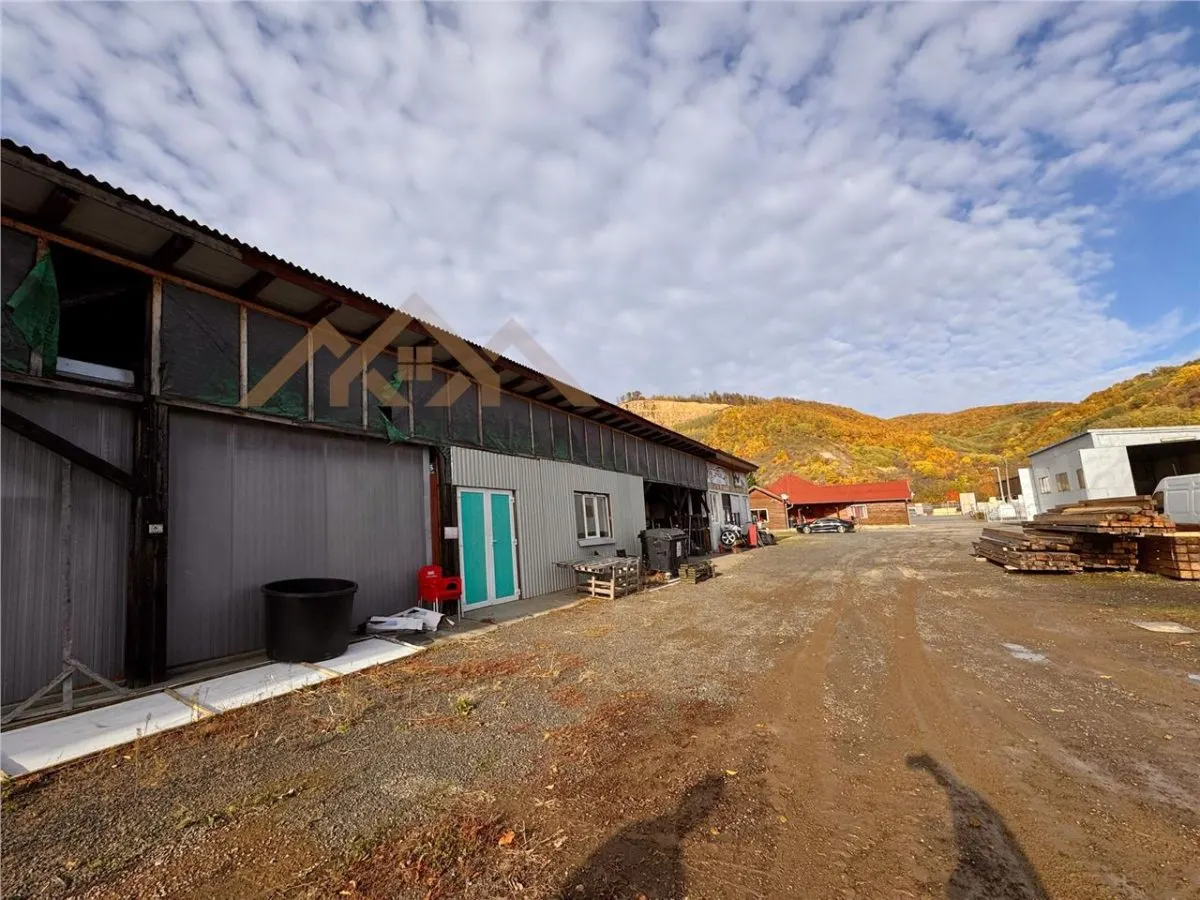 OPORTUNITATE, 11000 mp teren intravilan, cu diverse constructii pe el, Seini la DN - foto 11