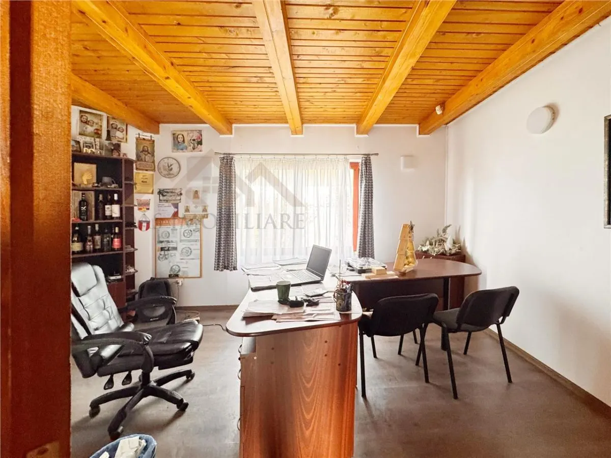OPORTUNITATE, 11000 mp teren intravilan, cu diverse constructii pe el, Seini la DN - foto 8