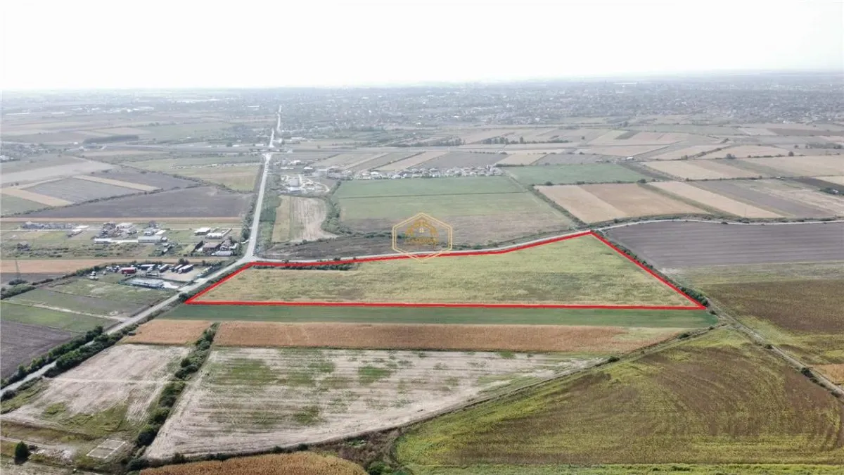 Teren vast in Satu Mare | 76.624 mp pentru dezvoltare imobiliara si servicii - foto 2