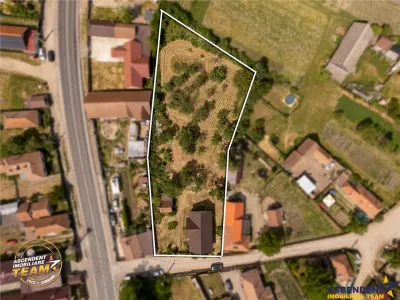 FILM! 2.700mp teren cu casa personalizabila, pomi fructiferi,langa Sfantu Gheorghe: Santionlunca - foto 4