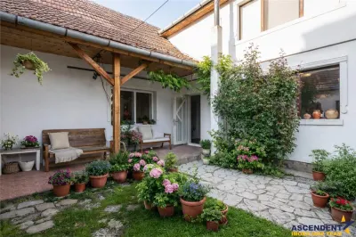 FILM! Casa primitoare in centrul orasului Targu Secuiesc - Targu Secuiesc