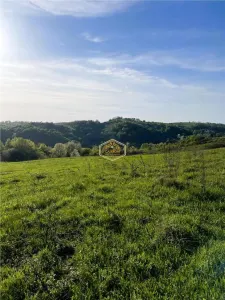 Teren de 9.500 mp in Maramures | Varf de deal, priveliste de pus in rama | Retreat Off - Grid - foto 11