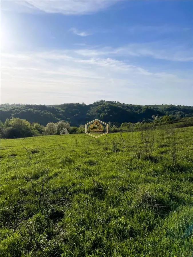 Teren de 9.500 mp in Maramures | Varf de deal, priveliste de pus in rama | Retreat Off - Grid - foto 11