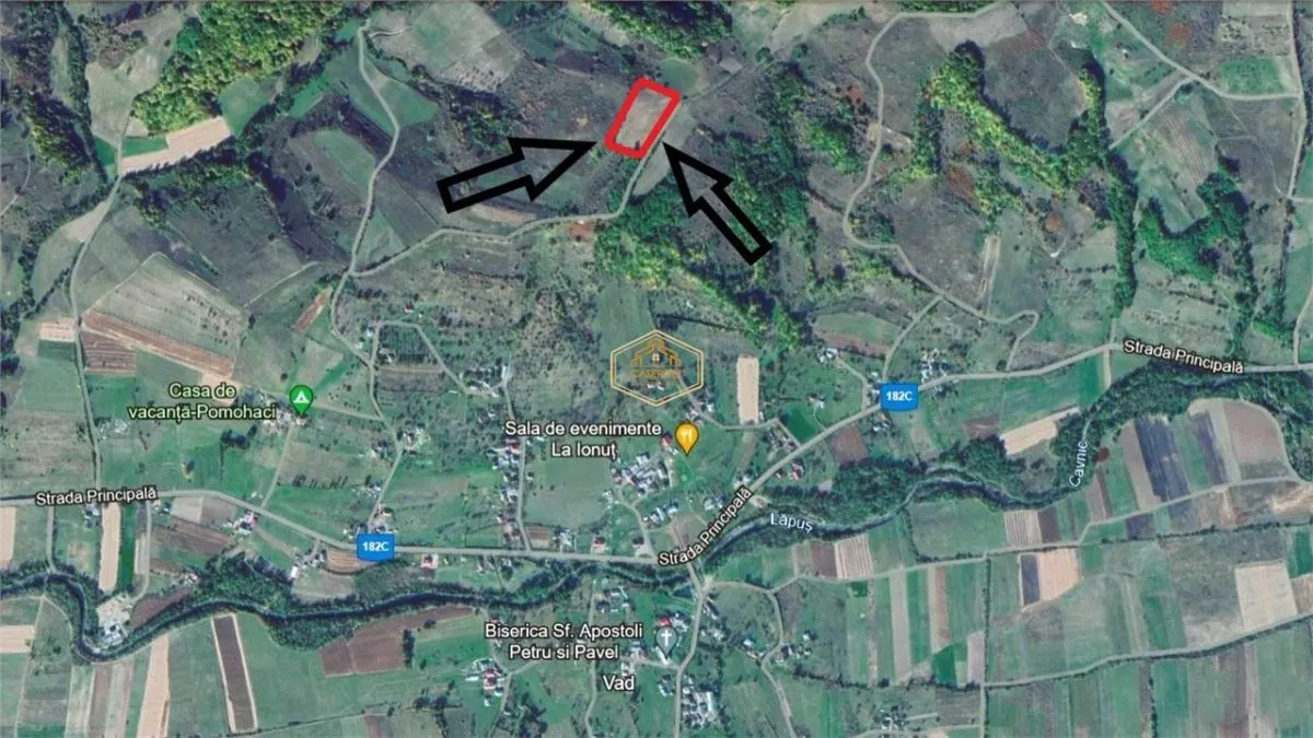 Teren de 9.500 mp in Maramures | Varf de deal, priveliste de pus in rama | Retreat Off - Grid - foto 13