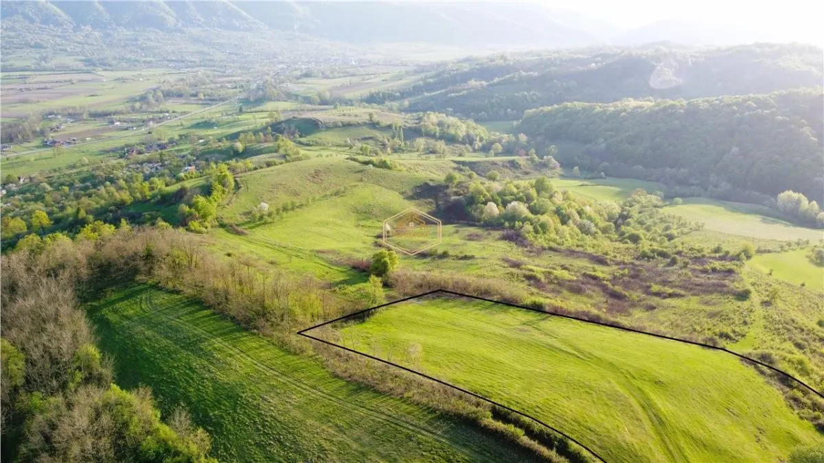 Teren de 9.500 mp in Maramures | Varf de deal, priveliste de pus in rama | Retreat Off - Grid - foto 3