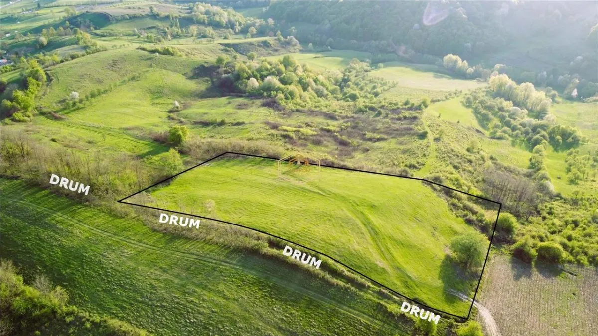 Teren de 9.500 mp in Maramures | Varf de deal, priveliste de pus in rama | Retreat Off - Grid - foto 4
