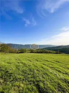 Teren de 9.500 mp in Maramures | Varf de deal, priveliste de pus in rama | Retreat Off - Grid - foto 8