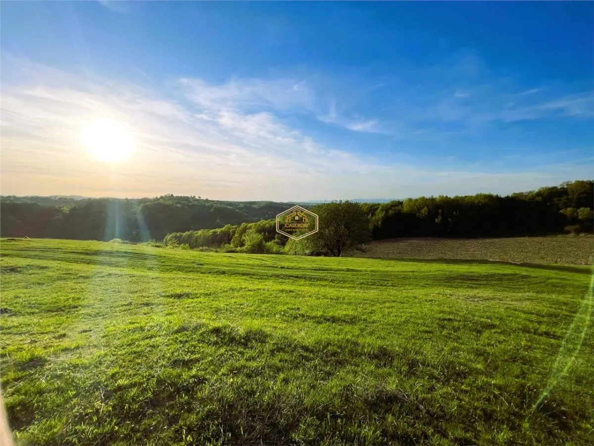 Teren de 9.500 mp in Maramures | Varf de deal, priveliste de pus in rama | Retreat Off - Grid - foto 9