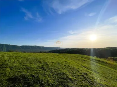 Teren de 9.500 mp in Maramures | Varf de deal, priveliste de pus in rama | Retreat Off - Grid - foto 10