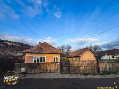 FILM! Gospodarie cu atmosfera traditionala,1.032 mp de verde si gradinarit, Sanzaieni, Covasna - foto 19