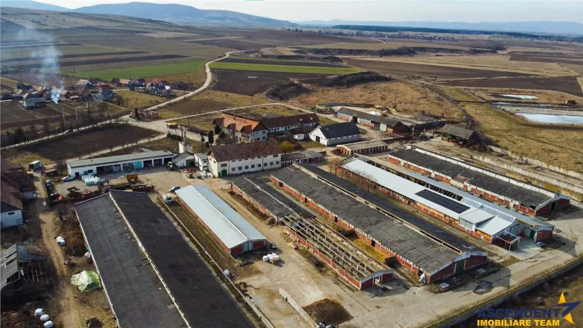 FILM! +25.400mp teren+Complex agrozootehnic cu traditie, accesorizat+ potential A,Borosneu - foto 12
