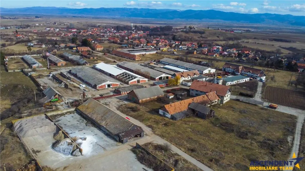 FILM! +25.400mp teren+Complex agrozootehnic cu traditie, accesorizat+ potential A,Borosneu - foto 14