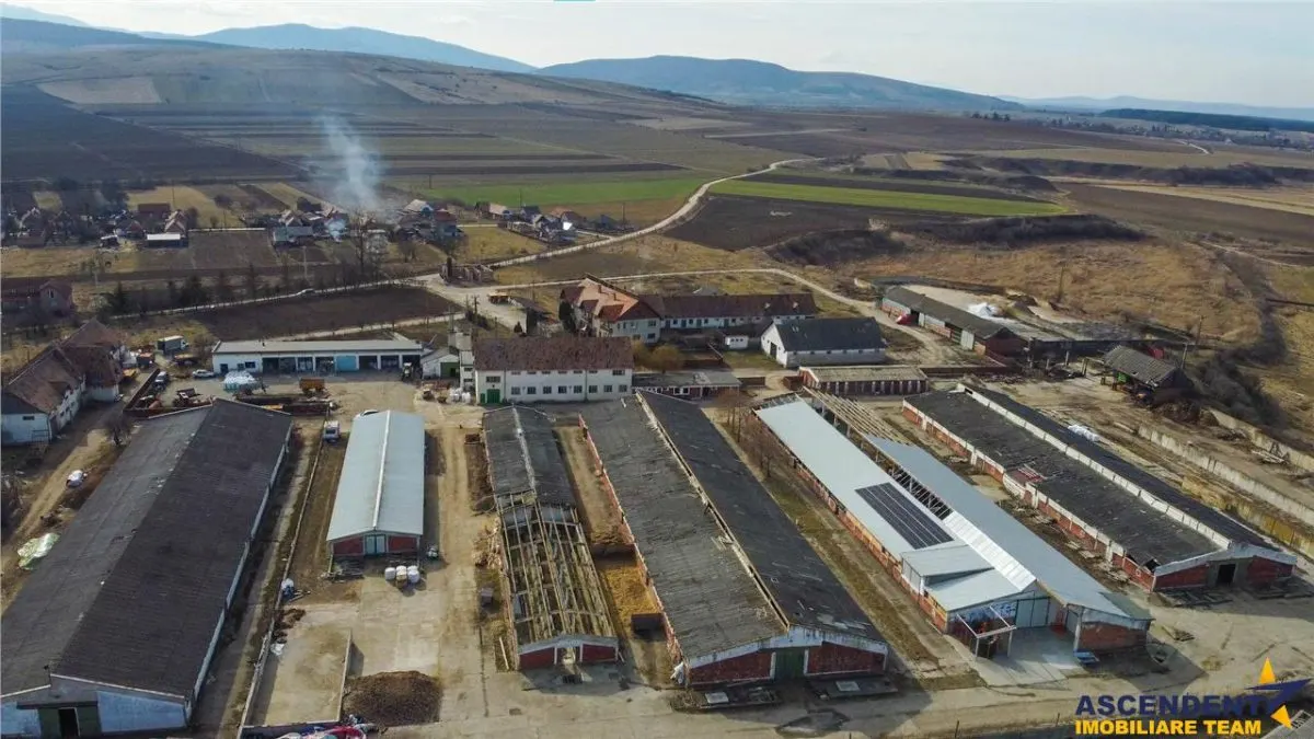 FILM! +25.400mp teren+Complex agrozootehnic cu traditie, accesorizat+ potential A,Borosneu - foto 5