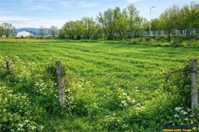Teren extravilan 1450 mp, din care curti constructii 312 mp, Sfantu Gheorghe - Sfantu Gheorghe