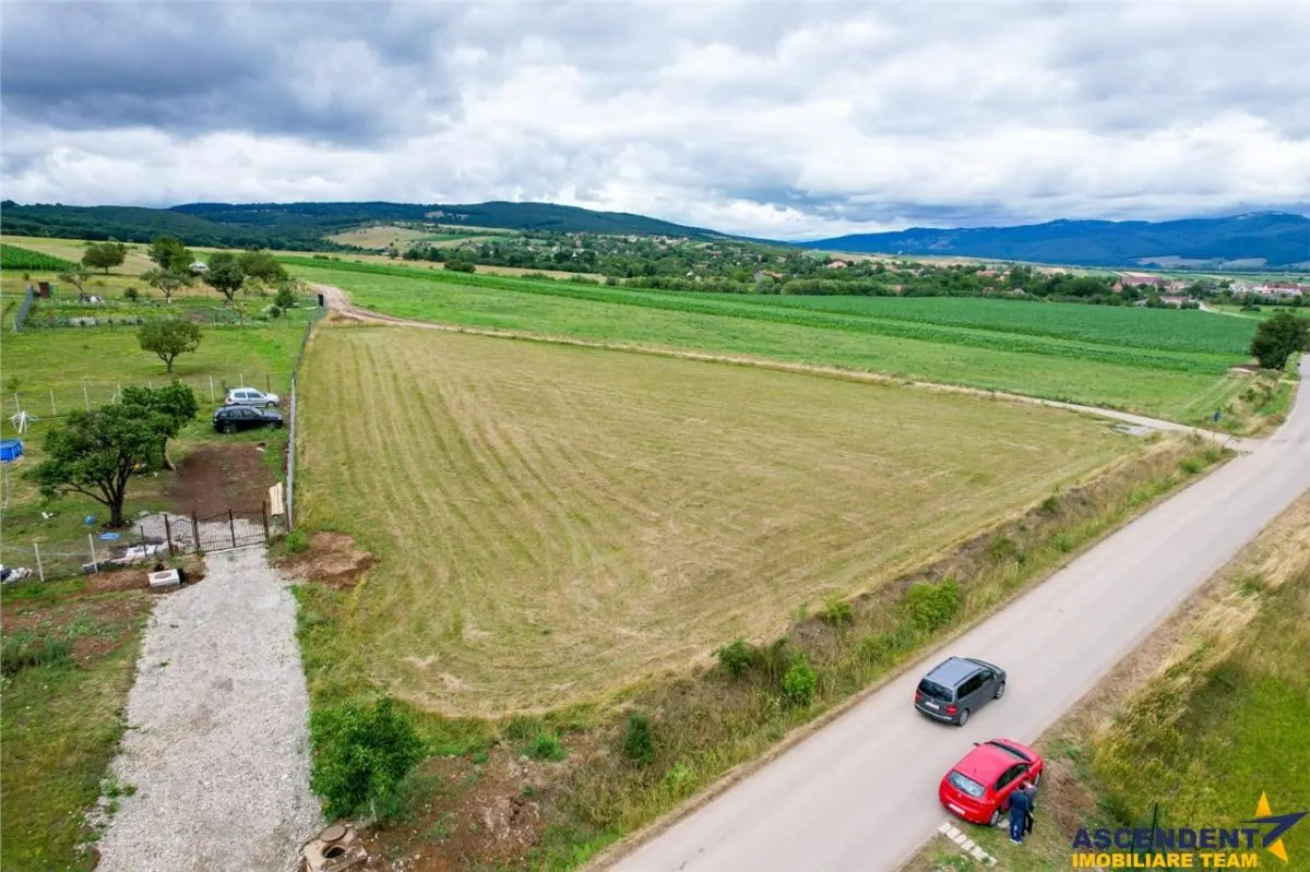 3.800mp recomandat:investitie,rezidenta vacanta,domeniu privat,Valea Crisului - foto 2