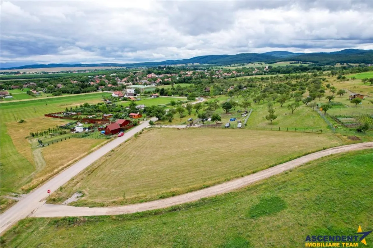3.800mp recomandat:investitie,rezidenta vacanta,domeniu privat,Valea Crisului - foto 3