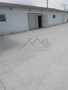 Hala 550mp zona Lunca Cetatuii - Dumbrava - foto 3
