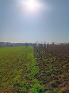 OCAZIE! Vorovesti Teren 83000mp intrav. si extrav. cu utilitati - Vorovesti
